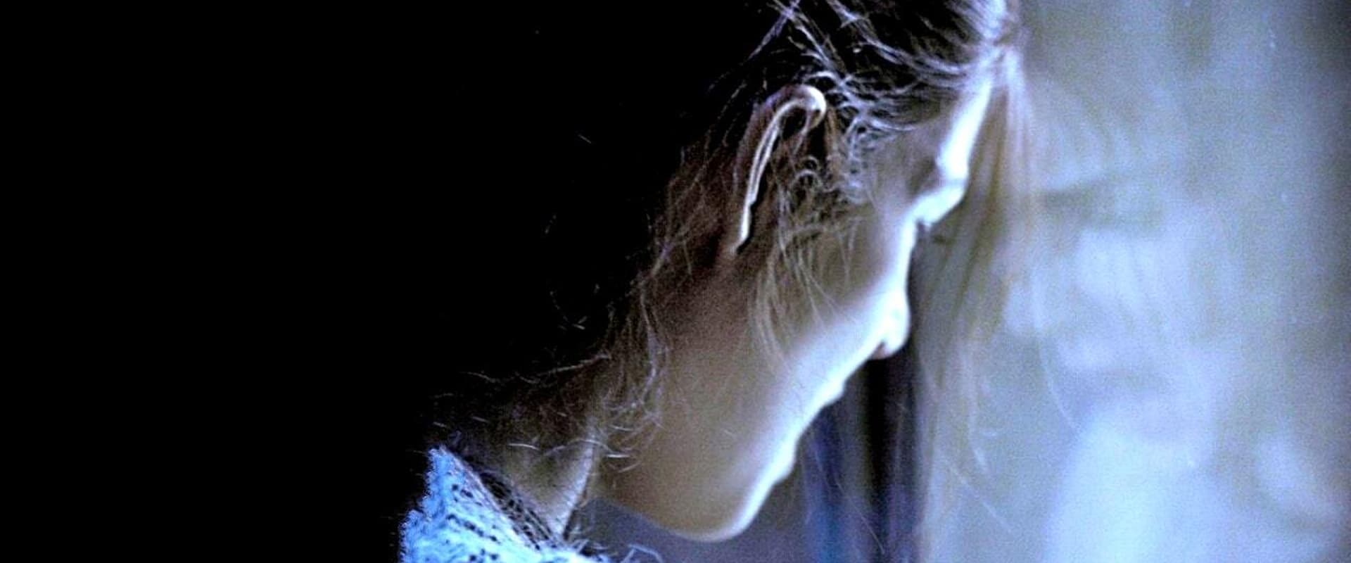 دانلود فیلم The Hidden Face 2011 (چهره ی پنهان 2011) بدون سانسور با زیرنویس فارسی