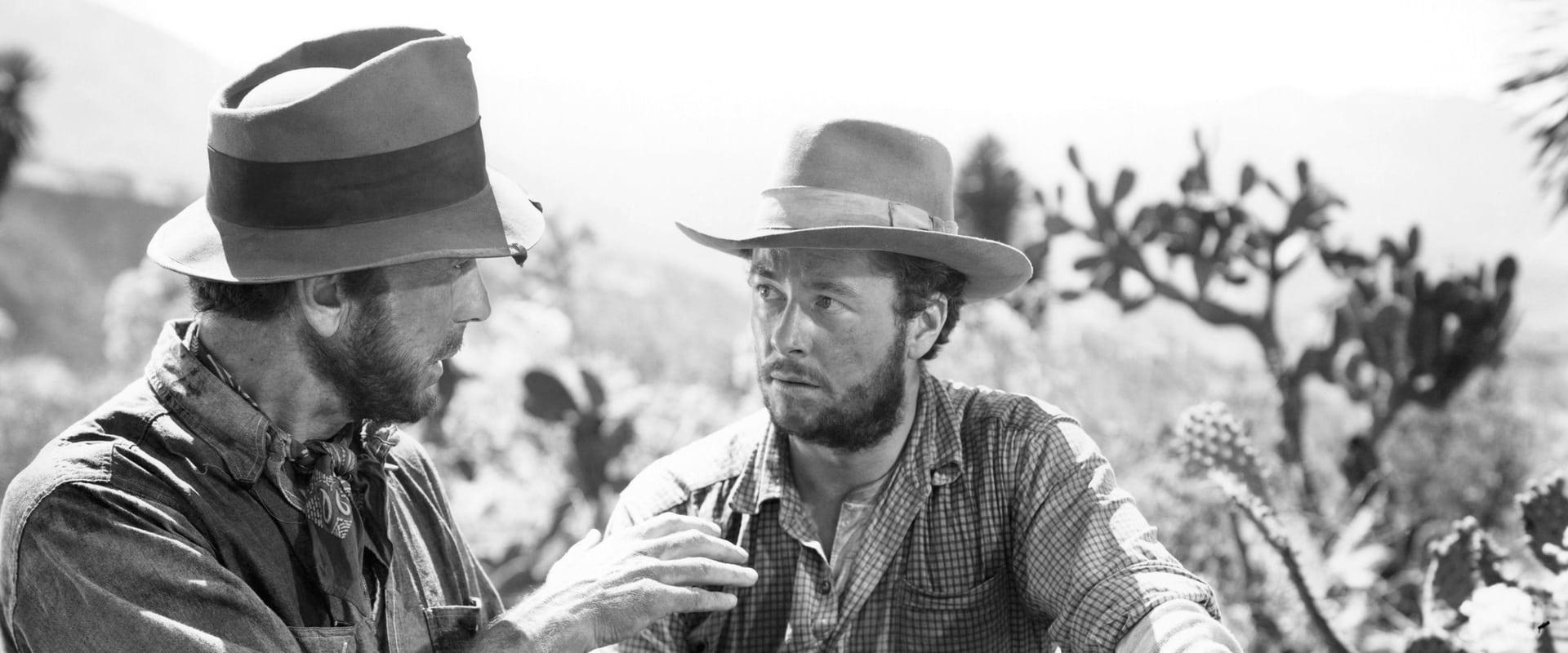 دانلود فیلم The Treasure of the Sierra Madre 1948 (گنج های سیرامادره 1948) بدون سانسور با زیرنویس فارسی
