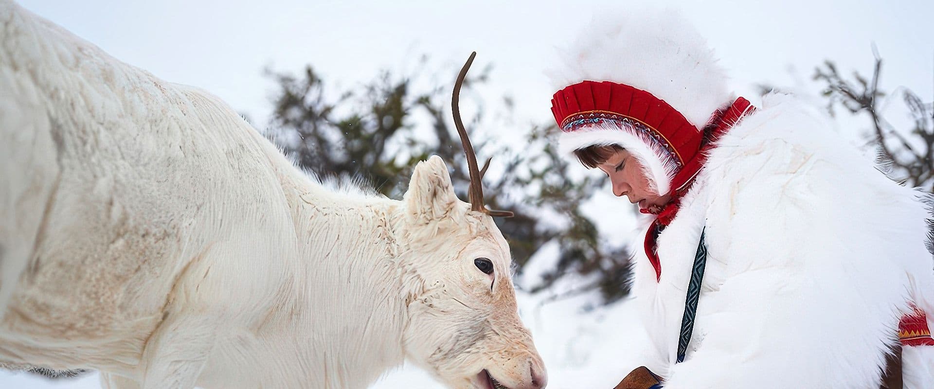 دانلود فیلم Stolen 2024 (ربوده شده 2024) بدون سانسور با زیرنویس فارسی