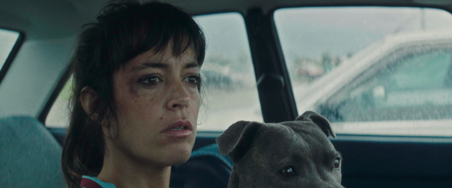 دانلود فیلم Vincent Must Die 2023 (وینسنت باید بمیرد 2023) بدون سانسور با زیرنویس فارسی