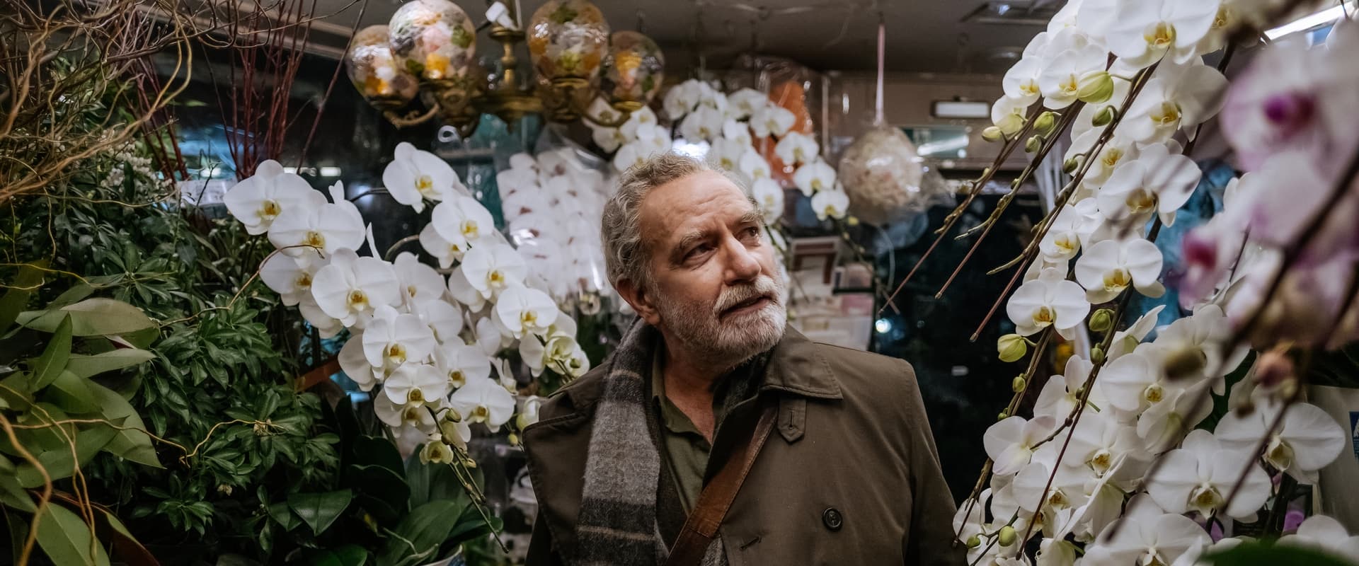 دانلود فیلم Touch 2024 (تماس 2024) بدون سانسور با زیرنویس فارسی