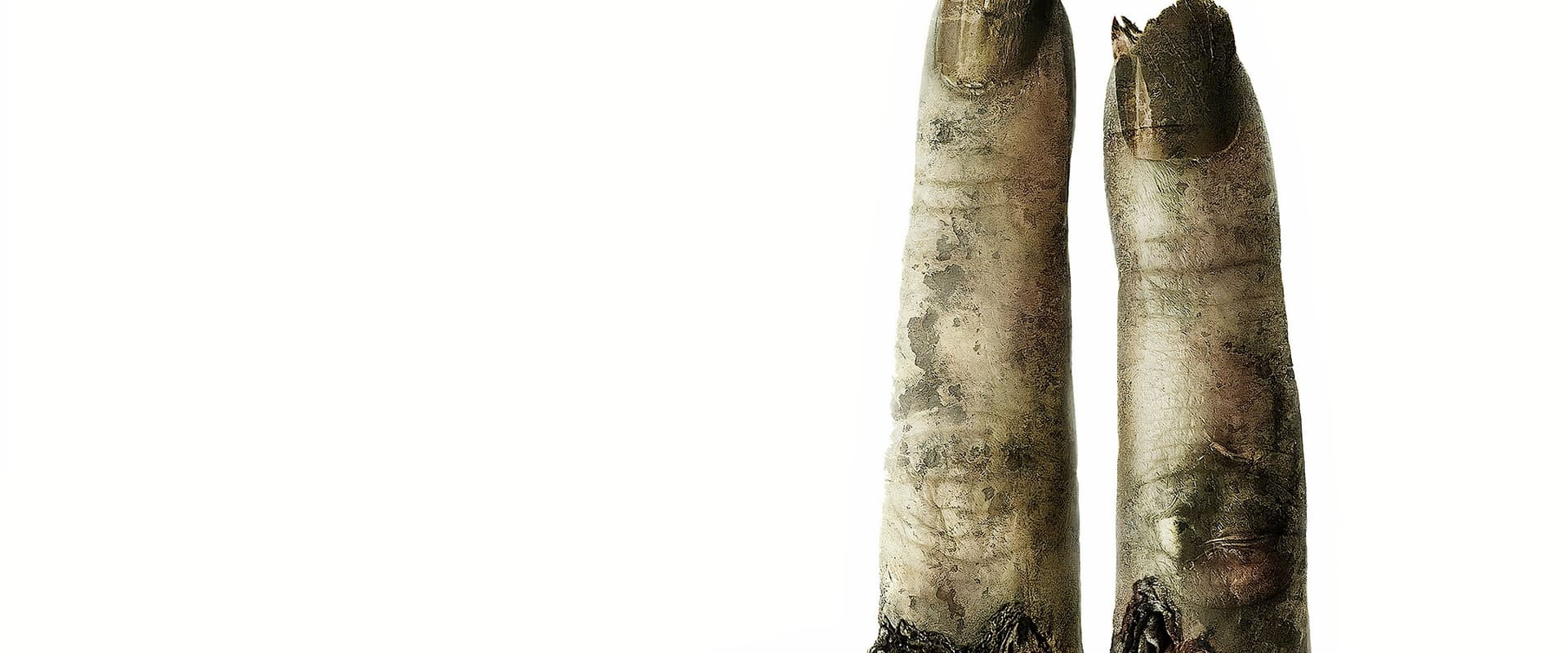 دانلود فیلم SAW 2 2005 (اره 2 2005) بدون سانسور با زیرنویس فارسی