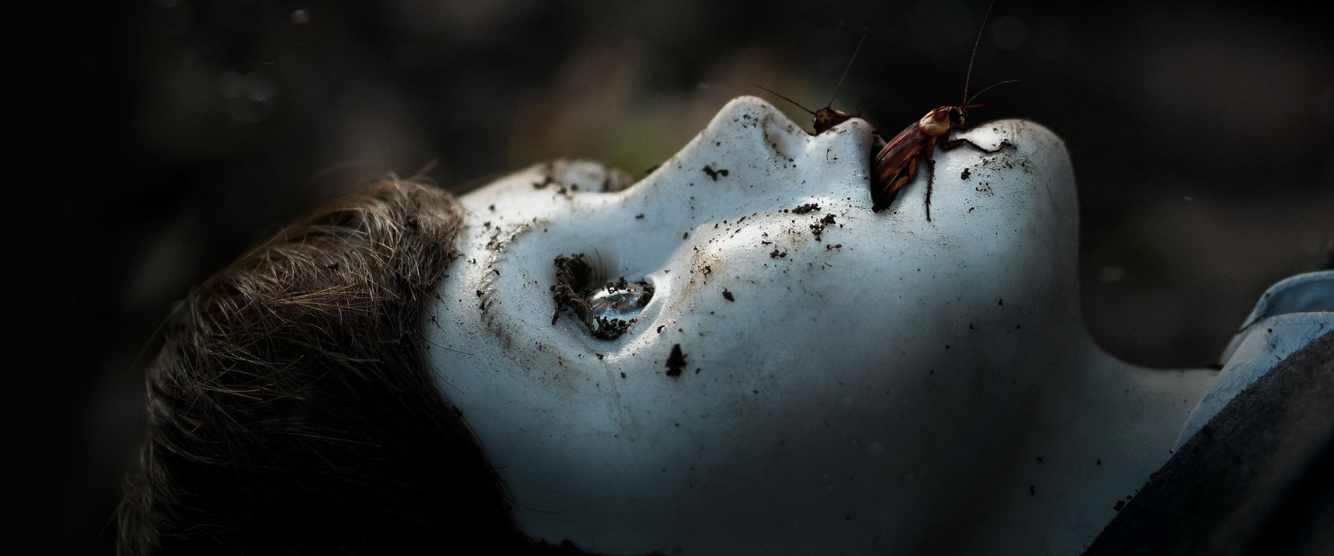 دانلود فیلم Brahms: The Boy II 2020 (پسر ۲ 2020) بدون سانسور با زیرنویس فارسی