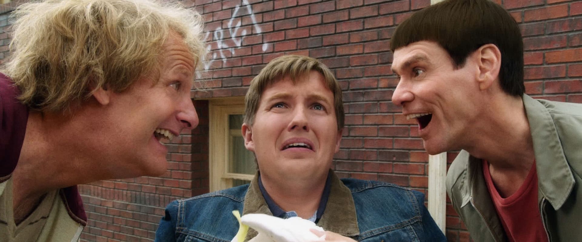 دانلود فیلم Dumb and Dumber To 2014 (احمق و احمق تر ۲ 2014) بدون سانسور با زیرنویس فارسی