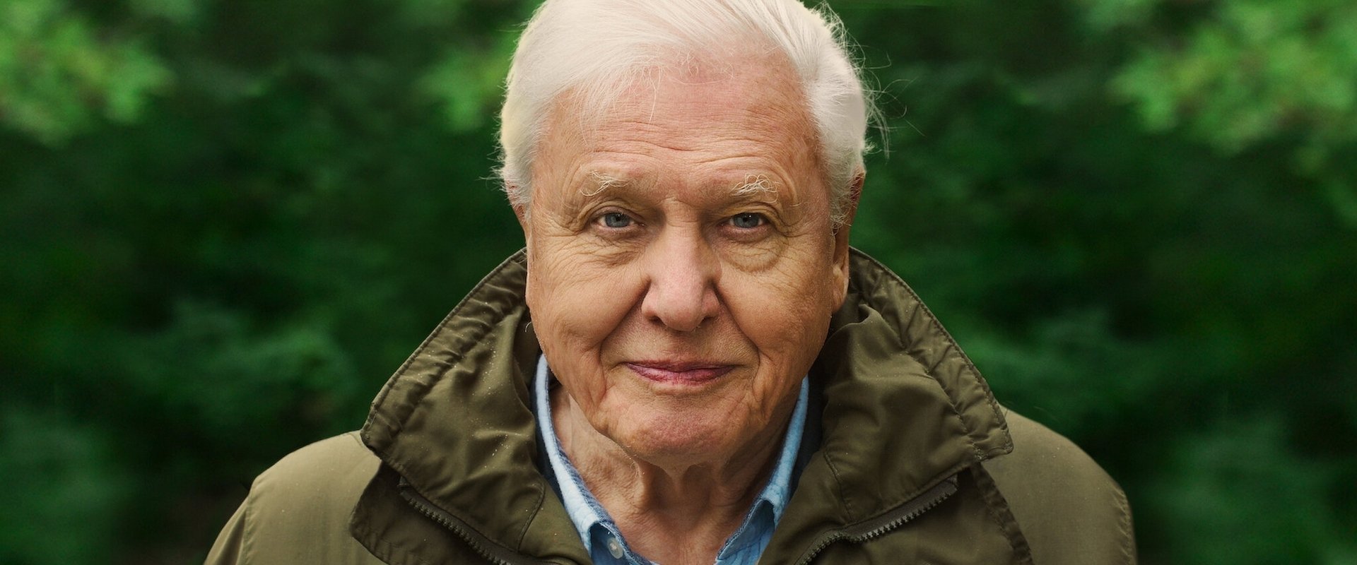 دانلود فیلم David Attenborough 2020 (دیوید آتنبورو: زندگی در سیاره ما 2020) بدون سانسور با زیرنویس فارسی