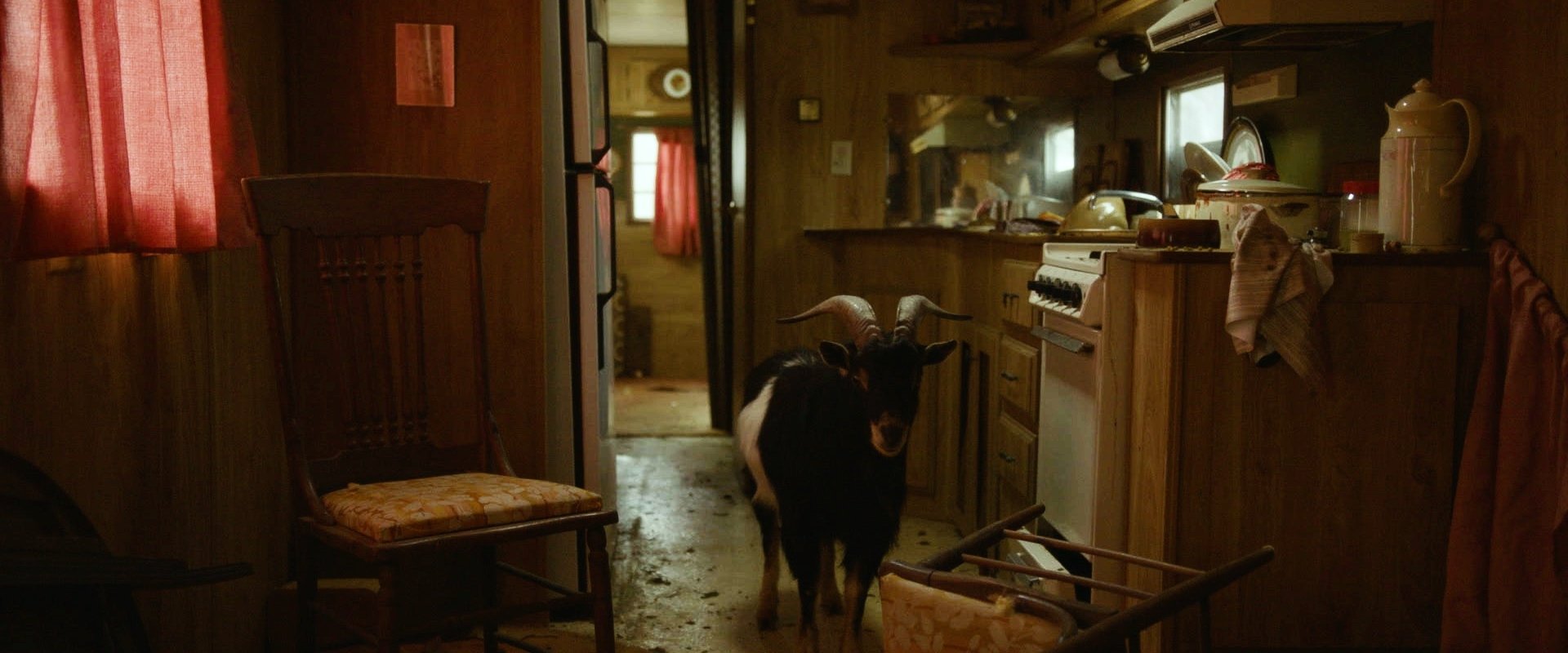 دانلود فیلم The Human Hibernation 2024 (خواب زمستانی انسانی 2024) بدون سانسور با زیرنویس فارسی