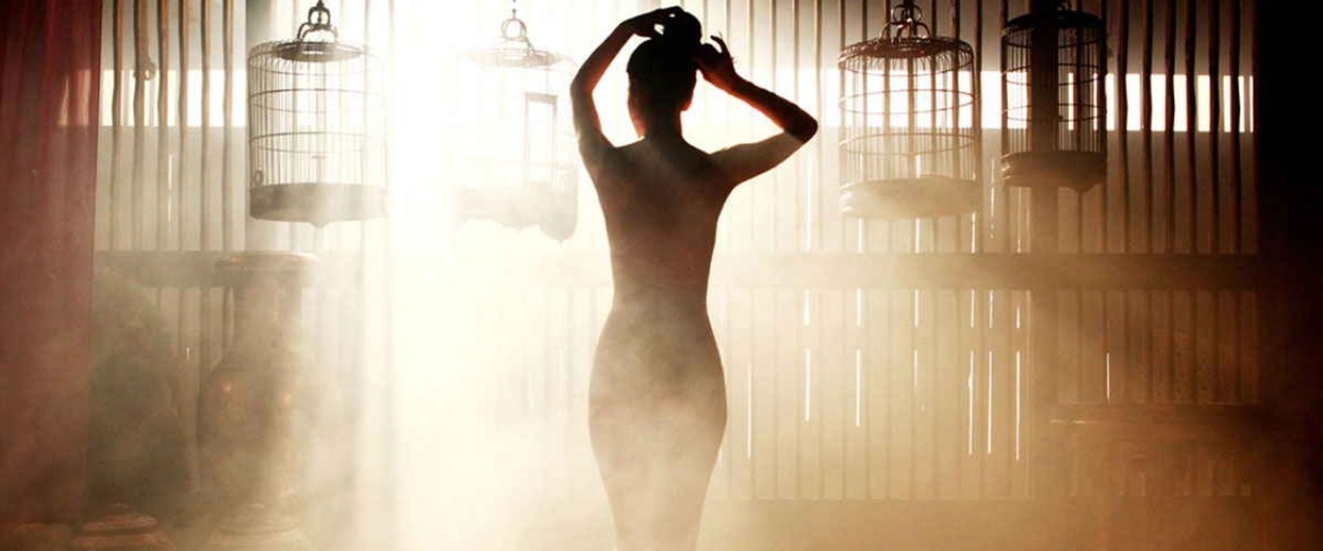 دانلود فیلم Portrait of a Beauty 2008 (تصويری از یک زيبايی 2008) بدون سانسور با زیرنویس فارسی