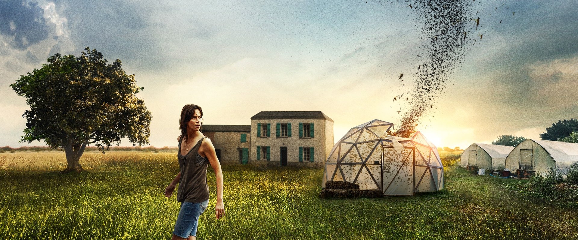 دانلود فیلم The Swarm 2020 (هجوم ملخ ها 2020) بدون سانسور با زیرنویس فارسی