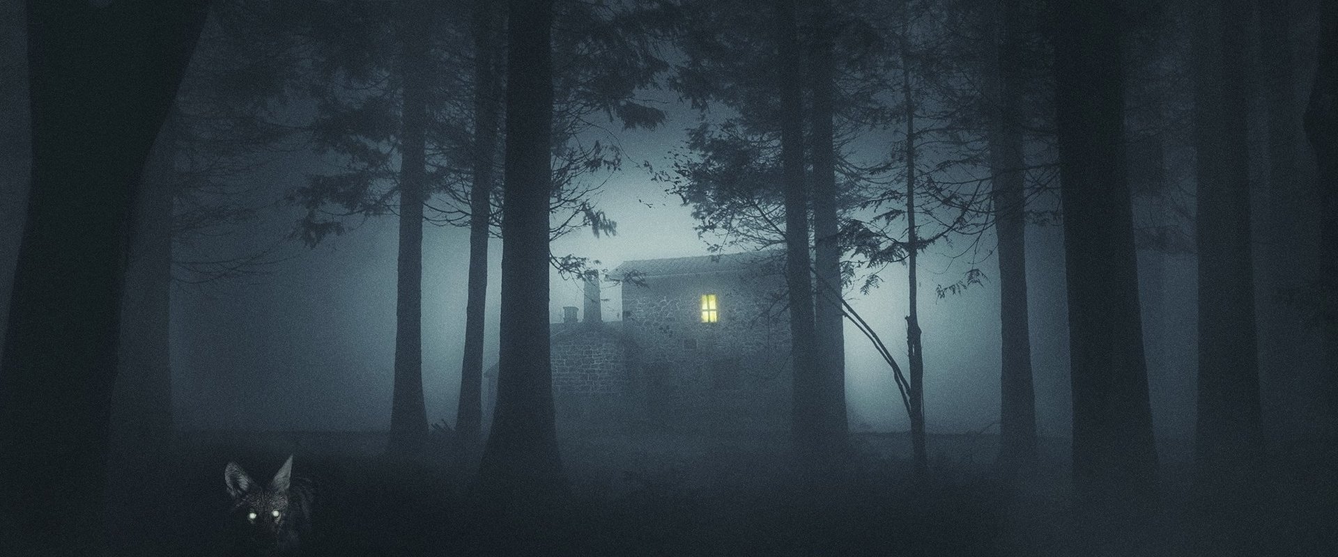 دانلود فیلم Shelby Oaks 2024 (شلبی اوکس 2024) بدون سانسور با زیرنویس فارسی