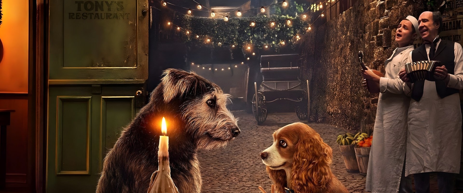 دانلود انیمیشن Lady and the Tramp 2019 (بانو و ولگرد 2019) بدون سانسور با زیرنویس فارسی