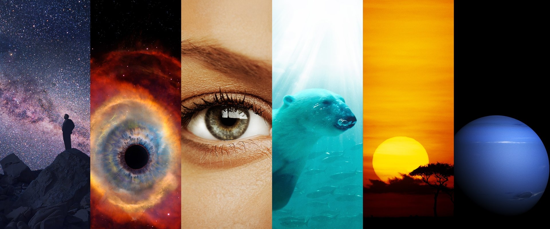 دانلود سریال Cosmos: A Spacetime Odyssey (کیهان: ادیسه ای فضازمانی 2014) بدون سانسور با زیرنویس فارسی