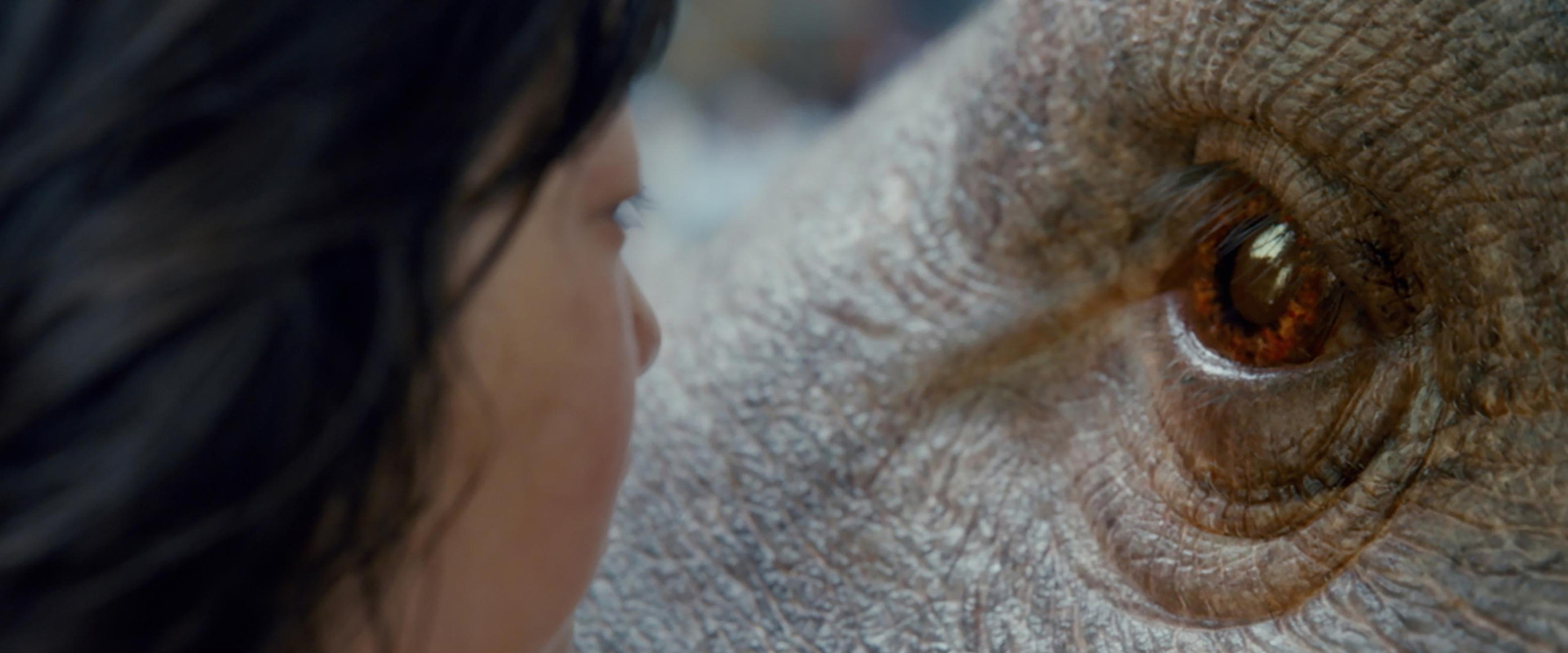 دانلود فیلم Okja 2017 (اوکجا 2017) بدون سانسور با زیرنویس فارسی