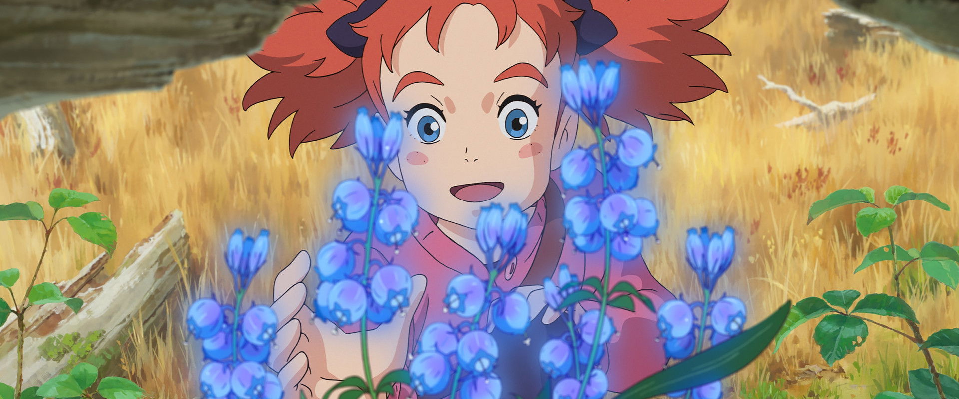 دانلود انیمیشن Mary and the Witch’s Flower 2017 (ماری و گل جادوگر 2017) بدون سانسور با زیرنویس فارسی