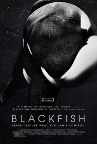 دانلود مستند Blackfish 2013 (ماهی‌سیاه 2013) بدون سانسور با زیرنویس فارسی