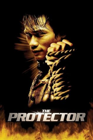 دانلود فیلم The Protector 2005 (حامی 2005) بدون سانسور با زیرنویس فارسی